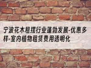 宁波花木租摆行业蓬勃发展-优惠多样-室内植物租赁费用透明化