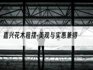 嘉兴花木租摆-美观与实惠兼得