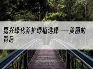 嘉兴绿化养护绿植选择-----美丽的背后