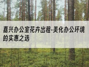 嘉兴办公室花卉出租-美化办公环境的实惠之选