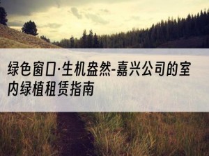 绿色窗口·生机盎然-嘉兴公司的室内绿植租赁指南