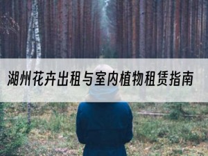 湖州花卉出租与室内植物租赁指南