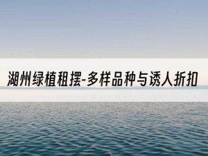 湖州绿植租摆-多样品种与诱人折扣