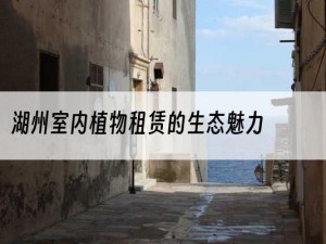 湖州室内植物租赁的生态魅力
