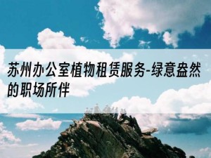 苏州办公室植物租赁服务-绿意盎然的职场所伴