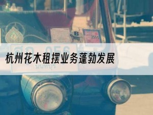 杭州花木租摆业务蓬勃发展