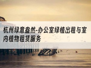 杭州绿意盎然-办公室绿植出租与室内植物租赁服务