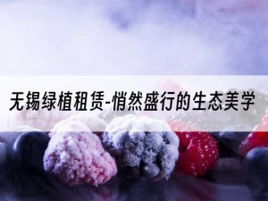 无锡绿植租赁-悄然盛行的生态美学