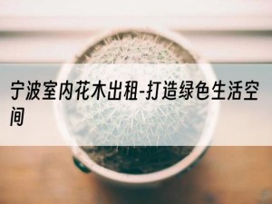 宁波室内花木出租-打造绿色生活空间