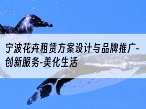 宁波花卉租赁方案设计与品牌推广-创新服务-美化生活