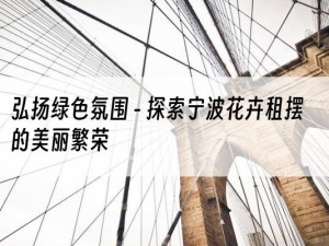 弘扬绿色氛围 - 探索宁波花卉租摆的美丽繁荣