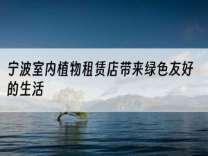 宁波室内植物租赁店带来绿色友好的生活