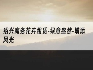 绍兴商务花卉租赁-绿意盎然-增添风光