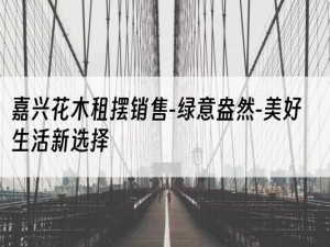 嘉兴花木租摆销售-绿意盎然-美好生活新选择