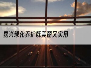 嘉兴绿化养护既美丽又实用