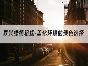 嘉兴绿植租摆-美化环境的绿色选择