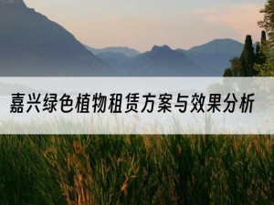 嘉兴绿色植物租赁方案与效果分析