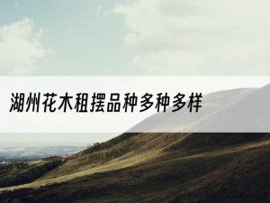 湖州花木租摆品种多种多样