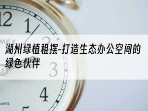 湖州绿植租摆-打造生态办公空间的绿色伙伴