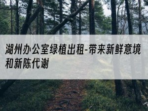 湖州办公室绿植出租-带来新鲜意境和新陈代谢