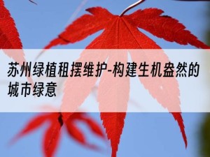苏州绿植租摆维护-构建生机盎然的城市绿意