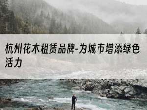 杭州花木租赁品牌-为城市增添绿色活力