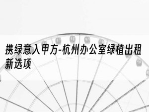 携绿意入甲方-杭州办公室绿植出租新选项