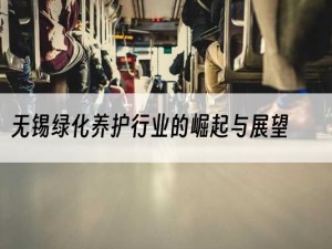 无锡绿化养护行业的崛起与展望