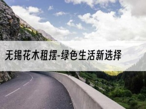 无锡花木租摆-绿色生活新选择