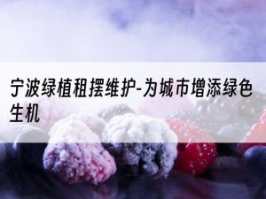 宁波绿植租摆维护-为城市增添绿色生机