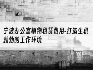 宁波办公室植物租赁费用-打造生机勃勃的工作环境