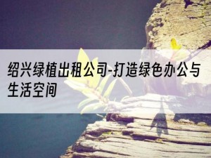 绍兴绿植出租公司-打造绿色办公与生活空间