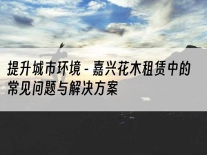提升城市环境 - 嘉兴花木租赁中的常见问题与解决方案