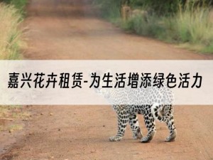 嘉兴花卉租赁-为生活增添绿色活力