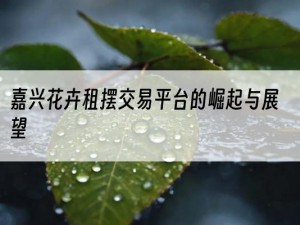 嘉兴花卉租摆交易平台的崛起与展望