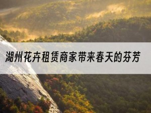 湖州花卉租赁商家带来春天的芬芳