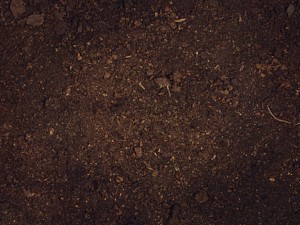 怎么给土壤消毒