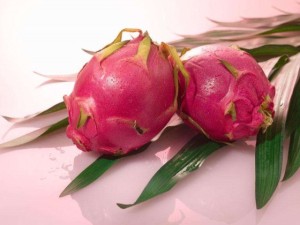 怎么让盆栽绿植叶子长得更茂盛？用这些东西擦一擦效果惊人！