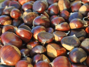 板栗的功效与作用