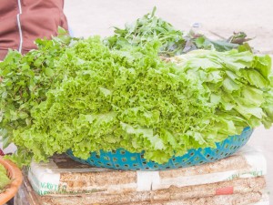 生菜是发物吗，如何保存