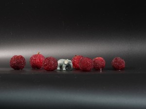 杨梅腌渍的方法，其他吃法有哪些