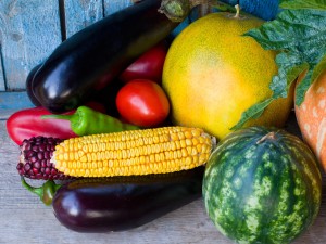 水培蔬菜开了花，竟然这么美！感觉以前亏了100万