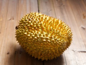 榴莲树几年结果，榴莲树什么样子