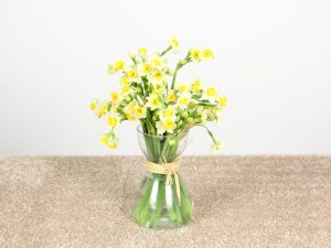 家养水仙花叶子过长怎么办