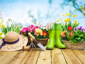 满园春色关不住，一抹绿色上墙来