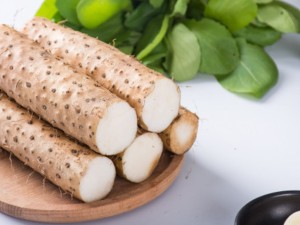 山药养殖长虫怎么办，山药虫害有哪些