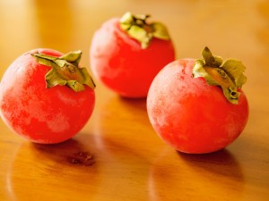 柿子上的白点是什么，怎么治疗