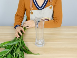 水养富贵竹几支最吉利，10支转运竹什么寓意