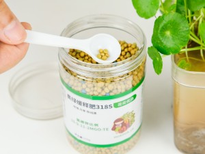 铜钱草的风水作用