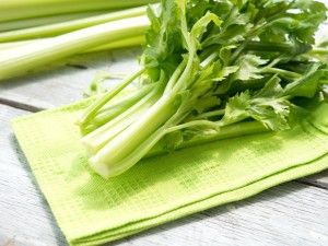 芹菜的病虫害防治